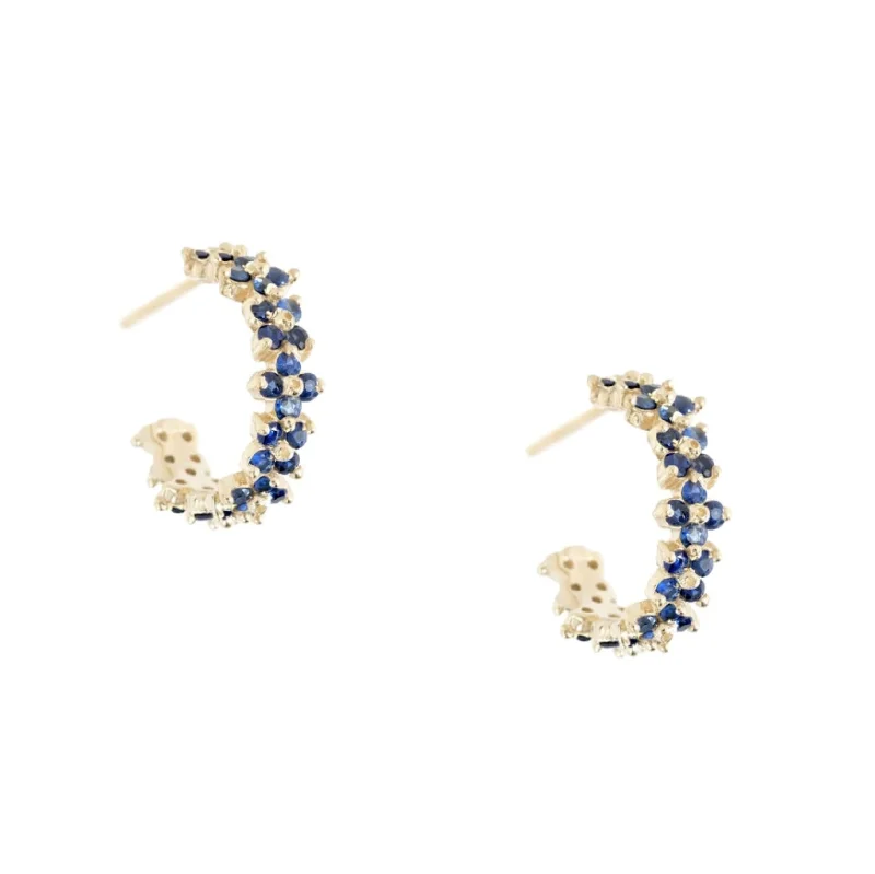 Clover Hoops, Blue